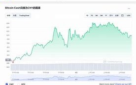 比特现金今日价格行情