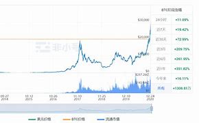 比特币的明日之星未来价格展望-第1张图片-链上币闻