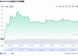 解锁比特币市场的秘密武器！-第1张图片-链上币闻